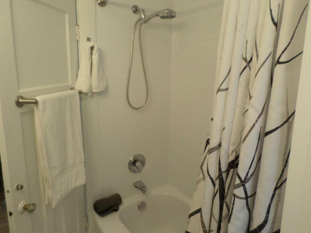 Апартаменти Beautiful, Clean, Quiet 2 Br-In Downtown Ottawa. Parking, Wifi And Netflix Included Екстер'єр фото